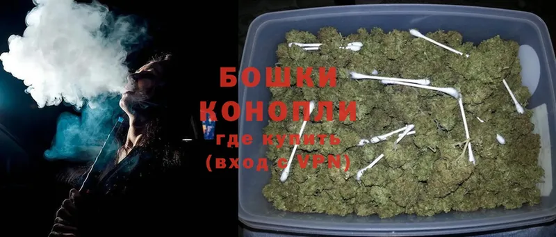 Каннабис SATIVA & INDICA  Новопавловск 